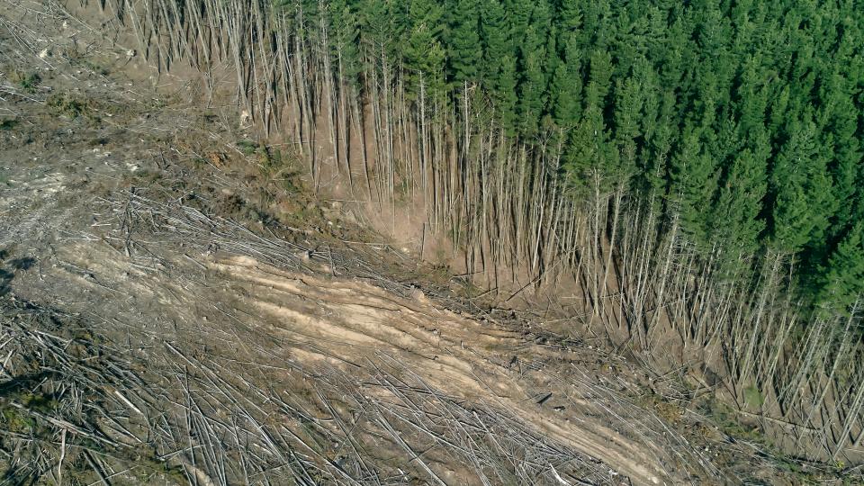 Storebrand: Groupe d'investisseurs accroît la pression sur le gouvernement brésilien