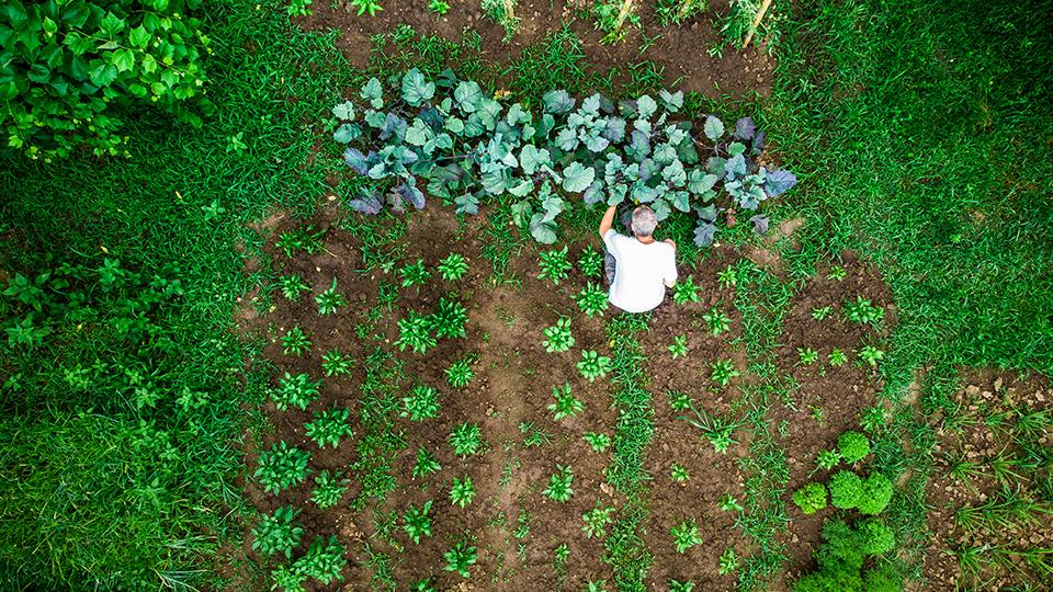 L’intégration ESG, amortisseur pour les investisseurs obligataires ?