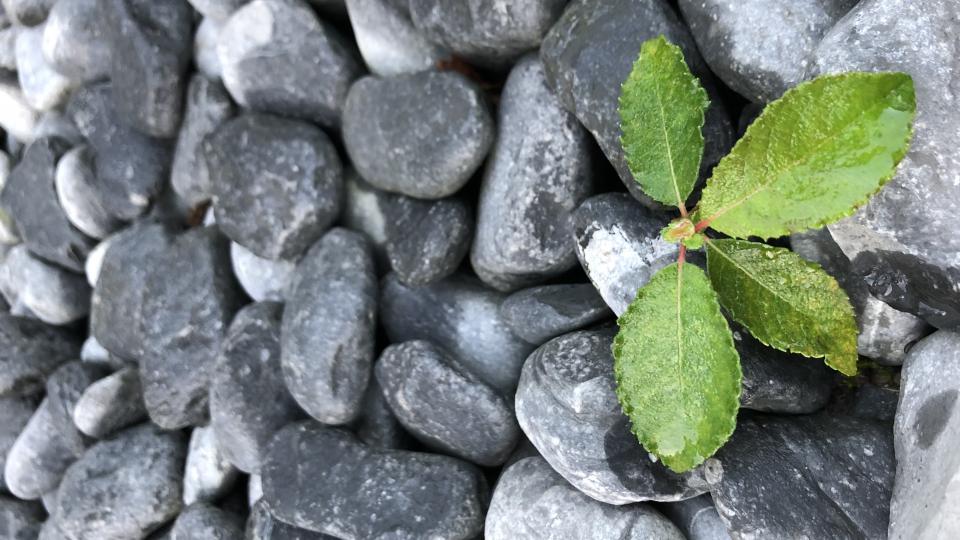 AXA IM lance le Prix AXA IM pour la Transition Climatique e.c.a. le Fonds AXA pour la Recherche  