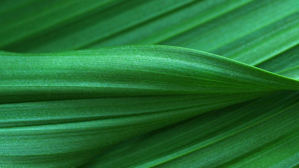 PGIM Investments: What European Gatekeepers Seek in Fixed Income ESG 