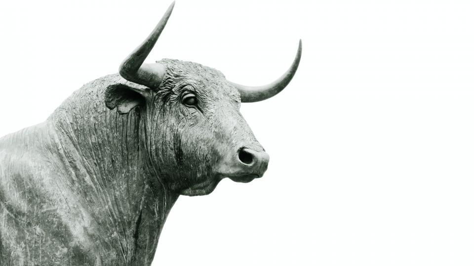 Bull-Hans-Eiskonen unsplash