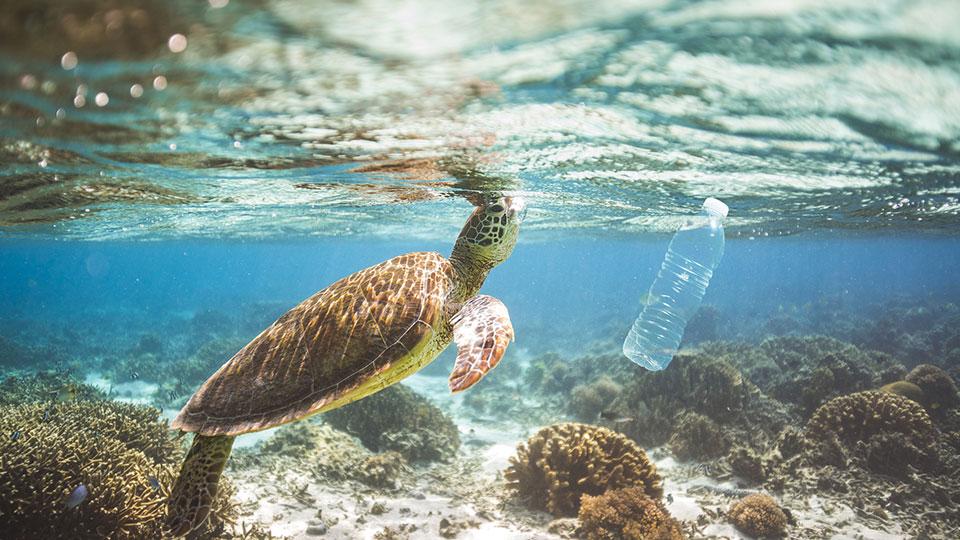 AXA IM : lancement d’un fonds dédié à la réduction de la pollution due aux plastiques