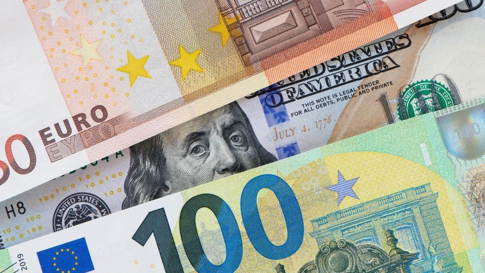 Euro comeback draws mixed reviews